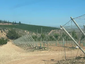 FINCA EN ALHAMA DE MURCIA