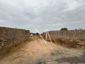 FINCA RUSTICA LLUCMAJOR