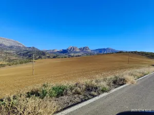 Riogordo - Colmenar 262,3 Ha Cortijo Napolín