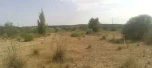 🌞 ¡OPORTUNIDAD INVERSORES EN ENERÍA SOLAR
