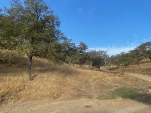 finca ganadera en el término de la nava,