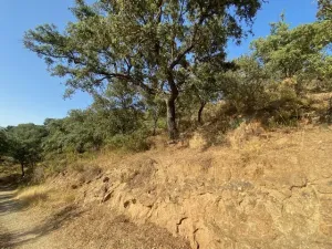 FINCA EN LA NAVA