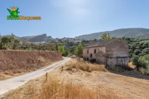 Terreno RÚSTICO con cortijo en Cogollos Vega