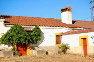 Finca Ganadera De 800ha Cerca De Cáceres