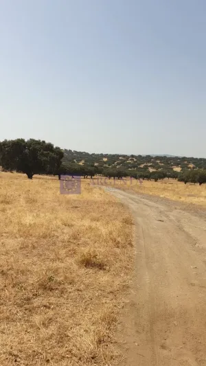 Finca Ganadera 600 ha Alcuéscar