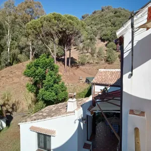 Finca en Casares - Malaga