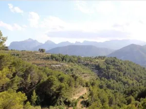 Finca en Tarbena - Alicante