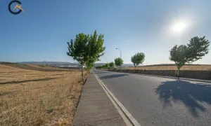 FINCA RÚSTICA EN  DILAR.