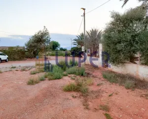 Finca en Fuente alamo de Murcia