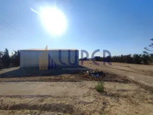 SE VENDE FINCA RÚSTICA A TAN SOLO 5 MINUTOS DE SAN VICENTE