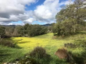 Finca con vivienda y inst.ecuestres