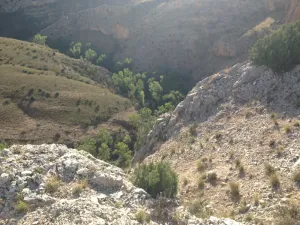 Finca agrícola ganadera ecológica renovables