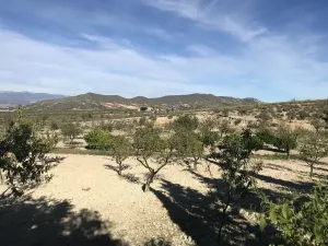 Finca en Lorca