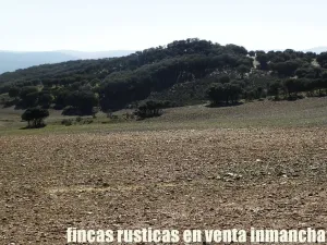 finca en venta 25 has. recreo ganadera