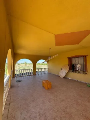 Finca en Granja de Rocamora