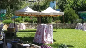 Venta de Finca para eventos/negocios o recreo