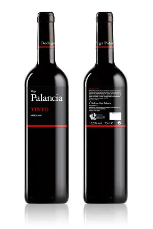 BODEGA DE AUTOR EN PRODUCCIÓN. CASI 6 HECTAREAS DE VIÑEDOS