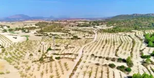 HACIENDA RUSTICA CON CASA CORTIJO - MORATALLA
