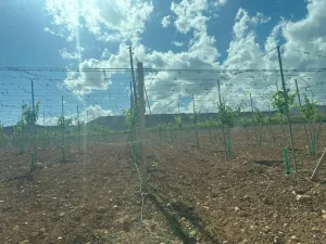 FINCA EN ALHAMA DE MURCIA