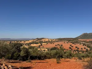 finca regadio y secano