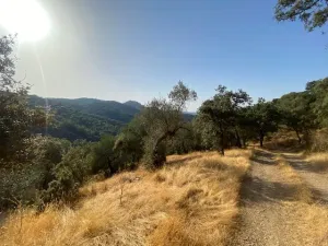 FINCA EN LA NAVA