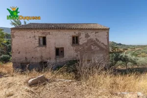 Terreno RÚSTICO con cortijo en Cogollos Vega