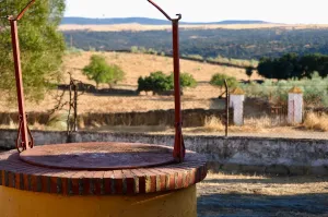 Finca Ganadera De 800ha Cerca De Cáceres