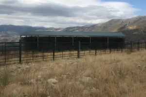 Finca Ganadera Con Alojamiento Turistico