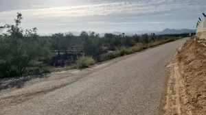 Finca Rústica en Monforte del Cid, Alicante - ¡Una Oportunidad Única! 🌳🌞