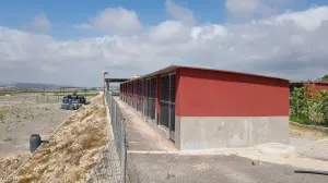 Finca en Los Montesinos