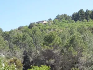 Finca en Tarbena - Alicante