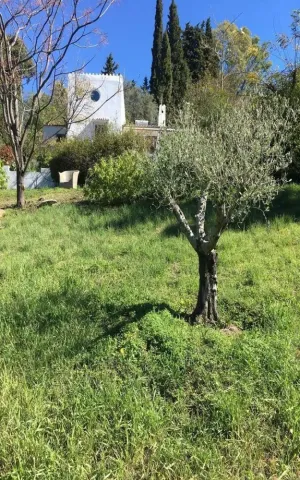 Finca Rustica en Estepona - Malaga