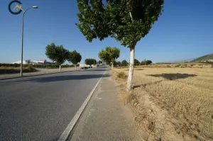 FINCA RÚSTICA EN  DILAR.