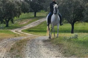 FINCA GANADERA DE 700HA EN EL NORESTE DE CÁCE
