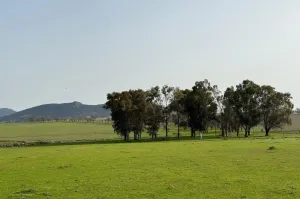 FINCA GANADERA Y DE CULTIVO CERCA DE CÁCERES