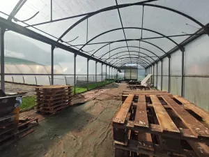 explotación agrícola en Llanera