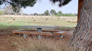 Finca rústica en venta en Constanti