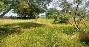 Preciosa finca, buen acceso