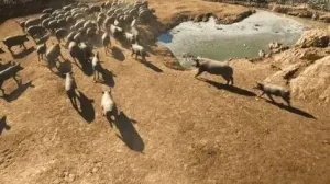 Dehesa Tamujoso | 650 ha de dehesa productiva con explotación ganadera y cinegética en Huelva