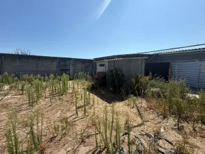 Finca en Palmela - Setúbal