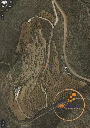 *FINCA DE  30.145 MTR  LLENA DE FRUTALES DIVERSOS CON CASA, UNA JOYA EN LA SIERRA DE FELIX*