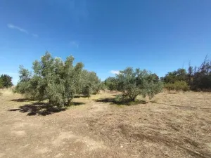 Finca en Zaragoza