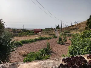🌿 Exclusiva Finca en Venta en Cruz de Tea – Vive la auténtica esencia de Tenerife