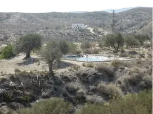 Cortijo andaluz con 13,5 hectáreas, Partaloa