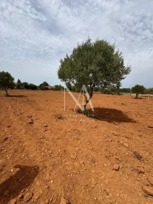 FINCA RUSTICA LLUCMAJOR