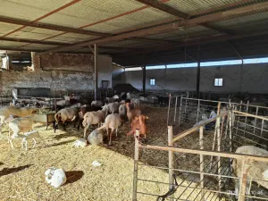 Riogordo - Colmenar 262,3 Ha Cortijo Napolín