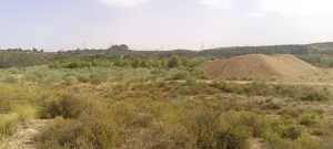 🌞 ¡OPORTUNIDAD INVERSORES EN ENERÍA SOLAR