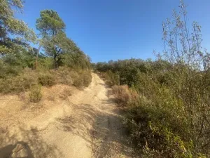 FINCA EN LA NAVA