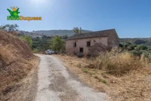Terreno RÚSTICO con cortijo en Cogollos Vega