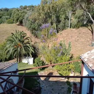 Finca en Casares - Malaga